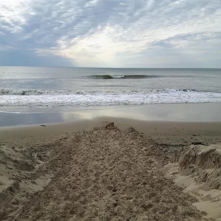 Sur A 500 M De La N 2 *